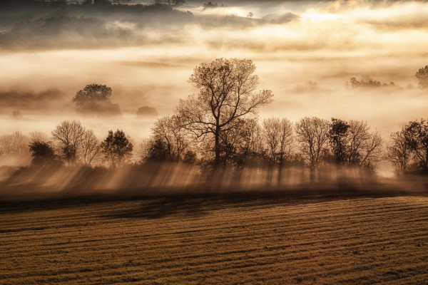 Haute-Loire