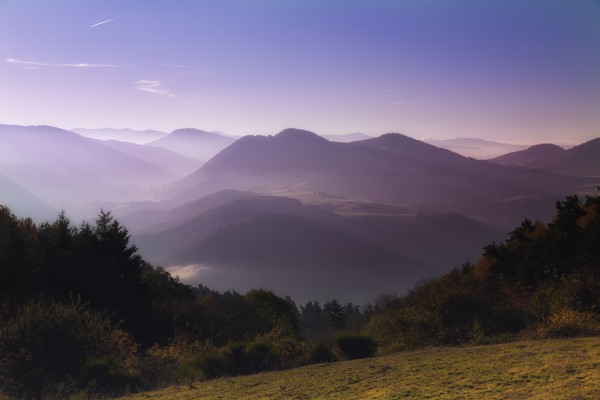 Brume matinale